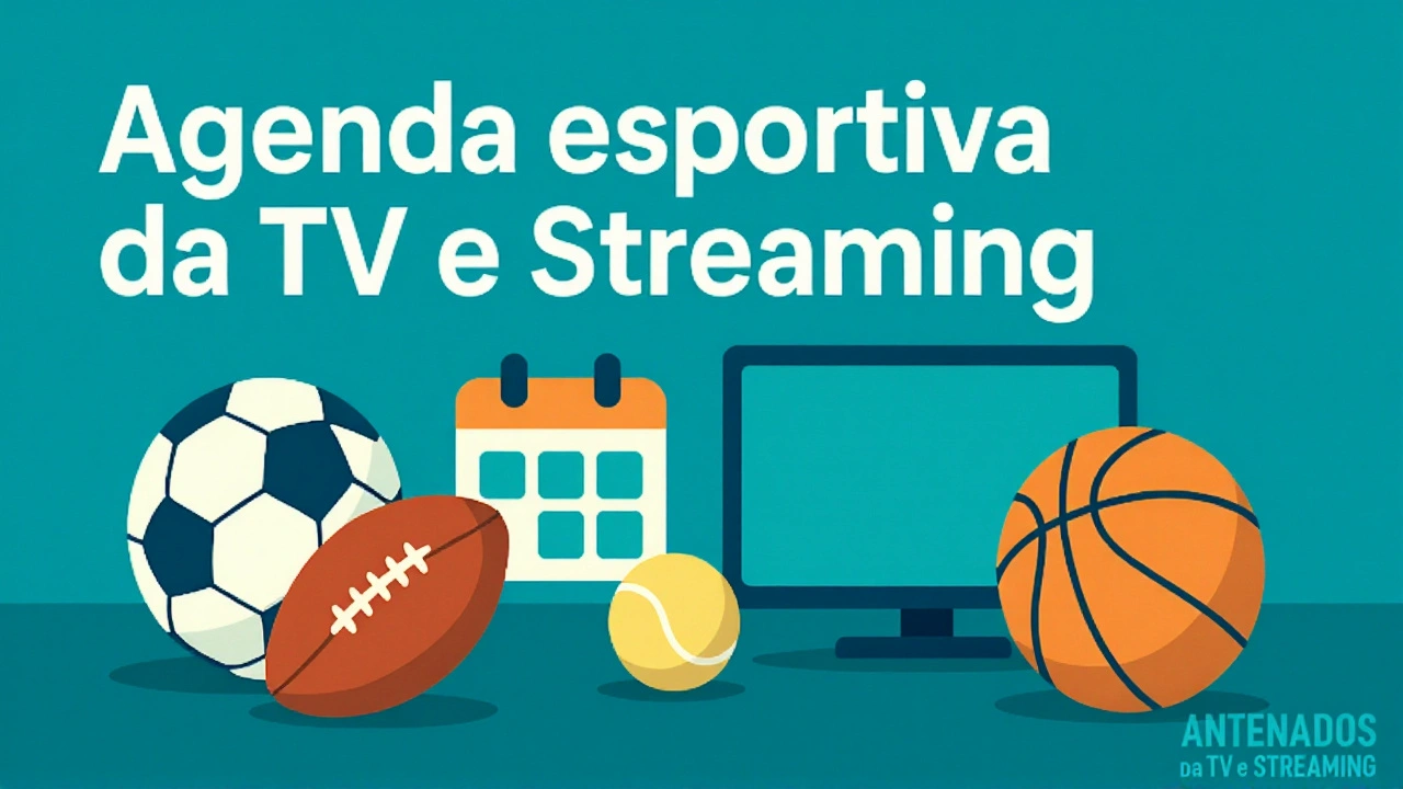 Conclusão